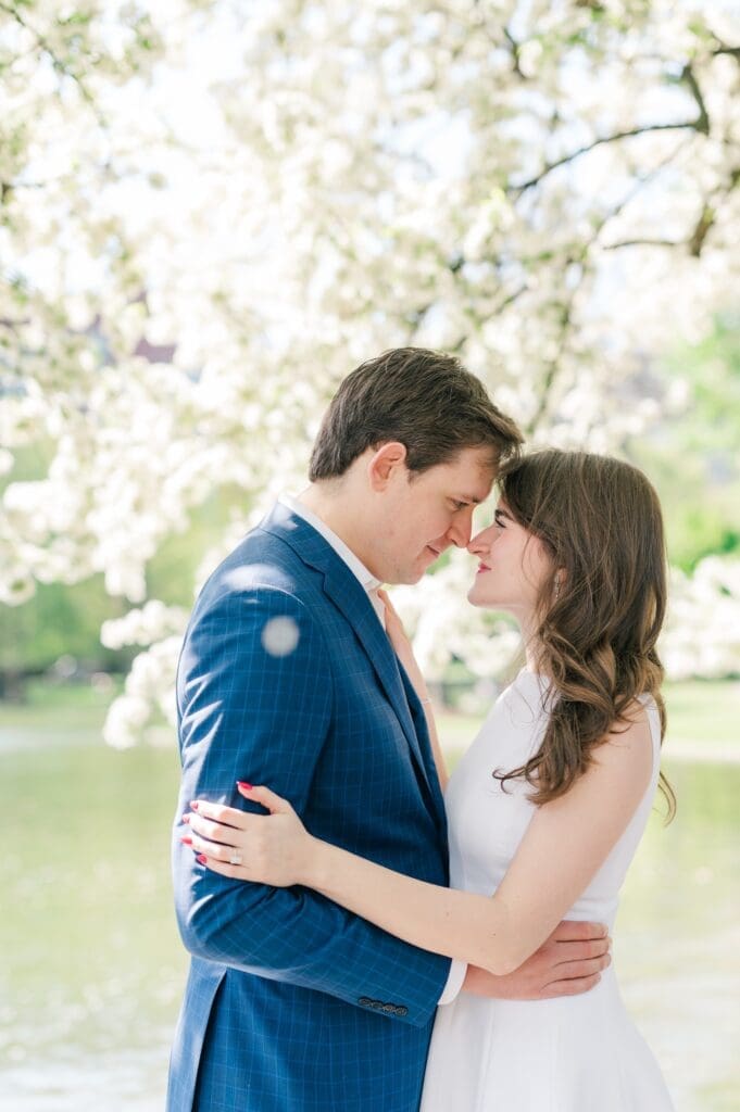 Brandon and Julia nuzzle noses in the Boston public garden under a blossoming tree. 