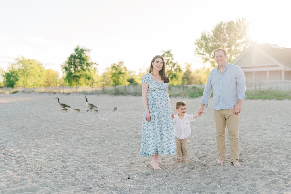 A man and woman walk with their toddler on the sand as baby geese walk behind them. 